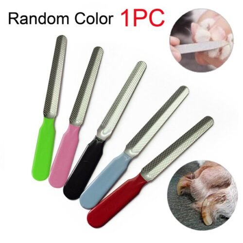 1PC Professional Nail Toe Manicure File Pet Grooming Tool